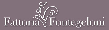 fattoria fontegeloni